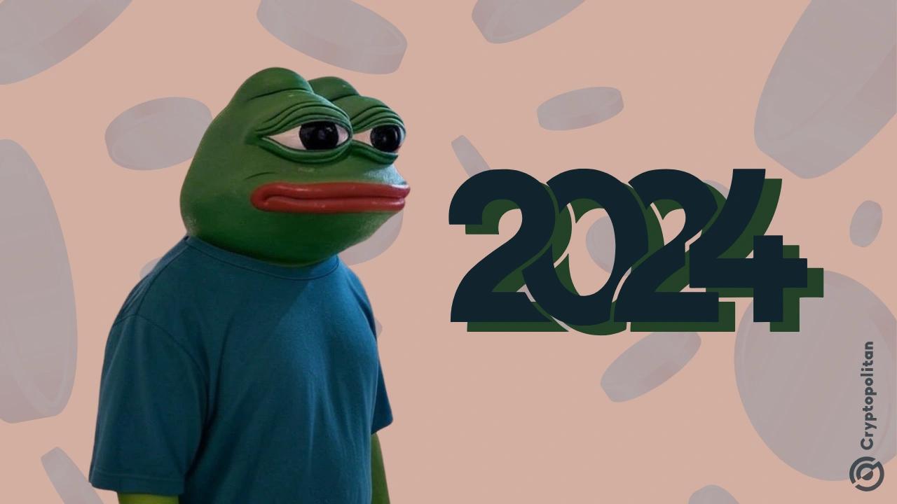 研究:2024年Memecoins在所有加密货币类别中表现最优