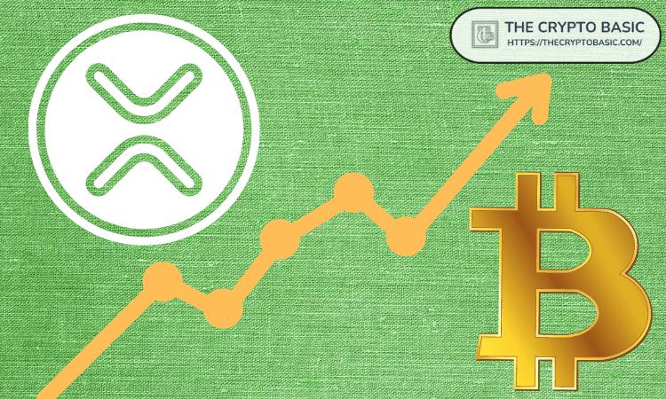 专家表示,如果你认为比特币比 XRP 更值得投资,那你一定是疯了