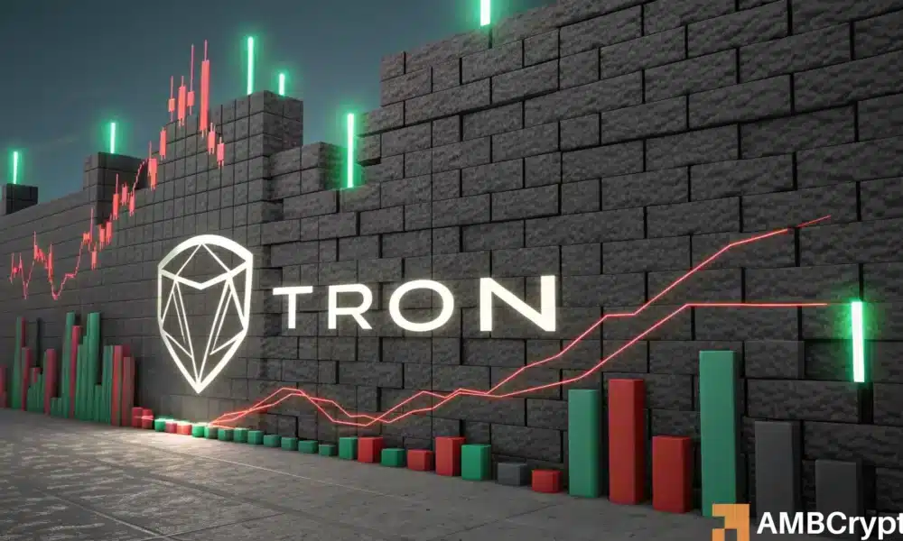 Can TRON Bulls Hold This Support Level for a Comeback - Will They Succeed?