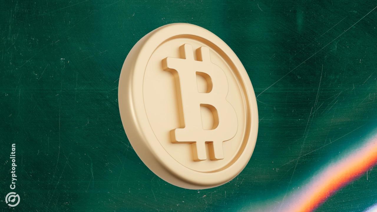 尽管估值达到顶峰,但2025年上半年鲸鱼仍持有BTC