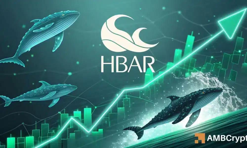 Hedera上涨15% – HBAR的下一个障碍可能在这个区间