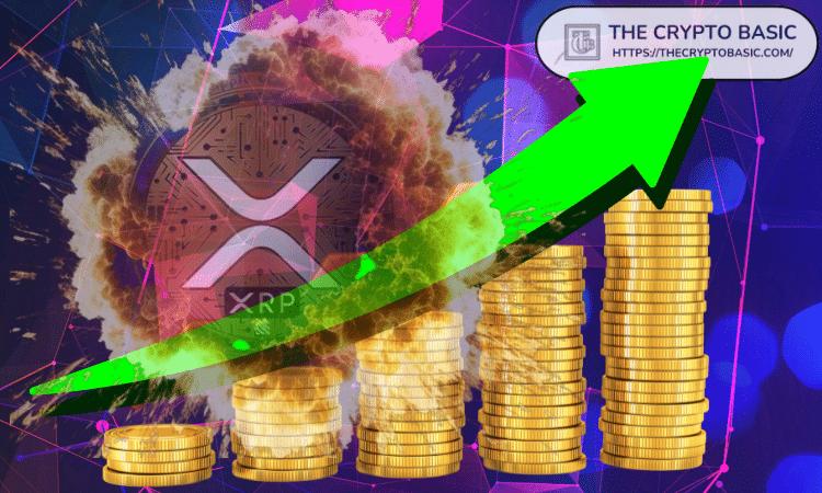 如何把10000个XRP变成3380万美元