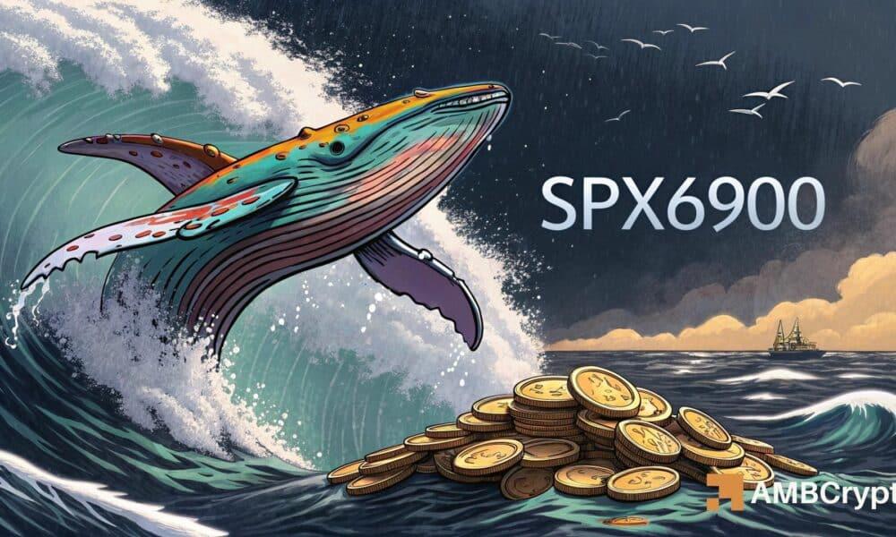 SPX 鲸鱼获利了结,但 memecoin 仍然表现坚挺:原因分析