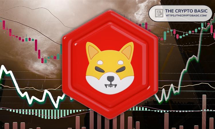 柴犬的新目标:迈向流动性大师