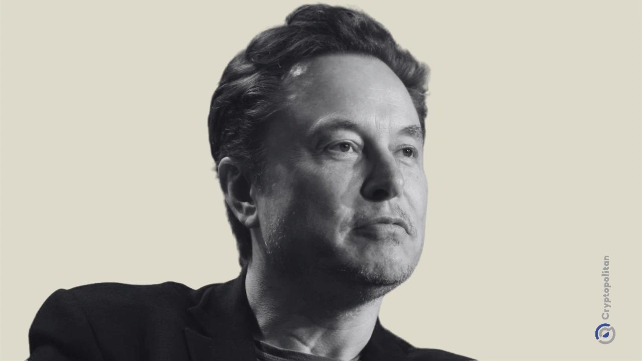SpaceX证实马斯克政治生涯尚未终结